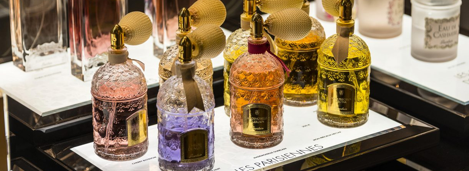 Male Female slide img